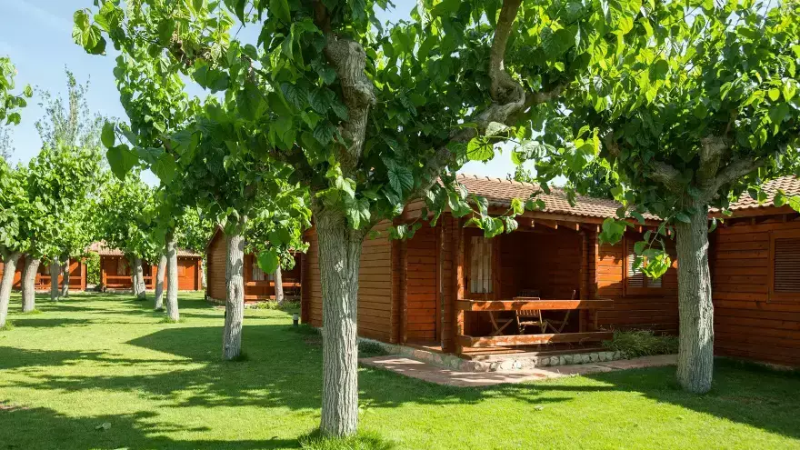 Location bungalows Golfe de Sant Jordi