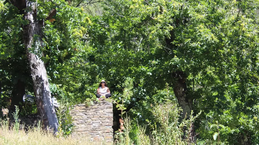 Détente dans le parc Les Hauts de Saint Privat