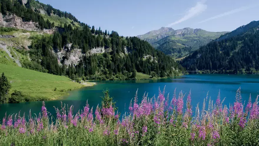 lac Presset Beaufortain