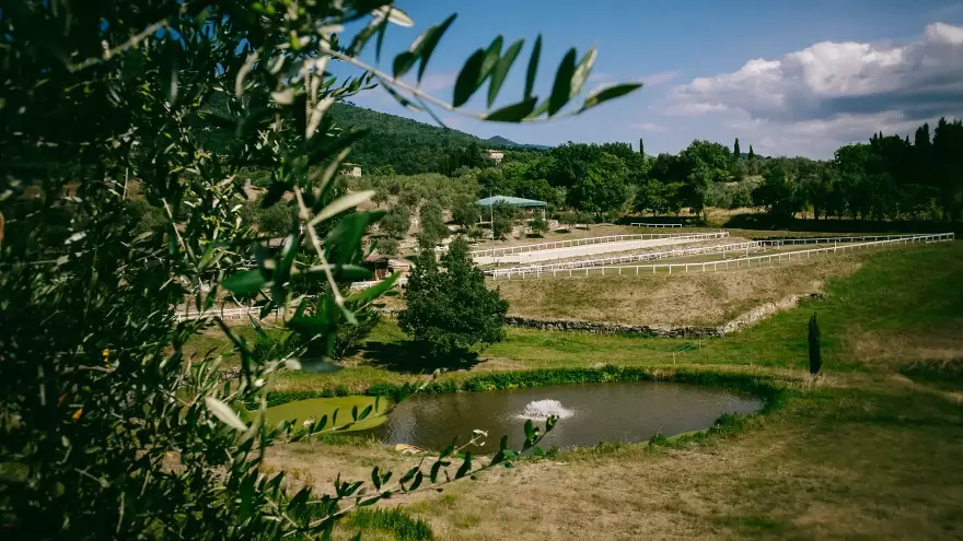 Manège équitation Fattoria Degli Usignoli