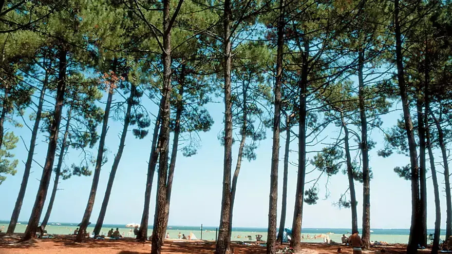 Lac de Carcans Maubuisson