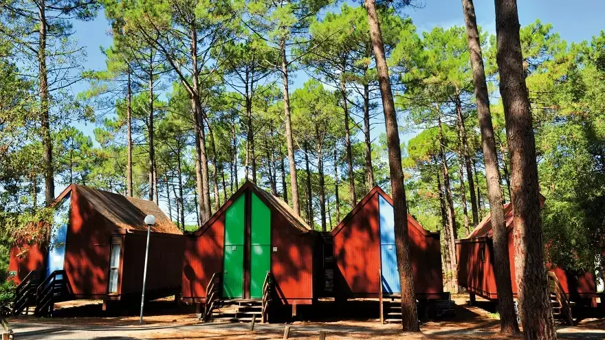 Chalets sous forêt de pins