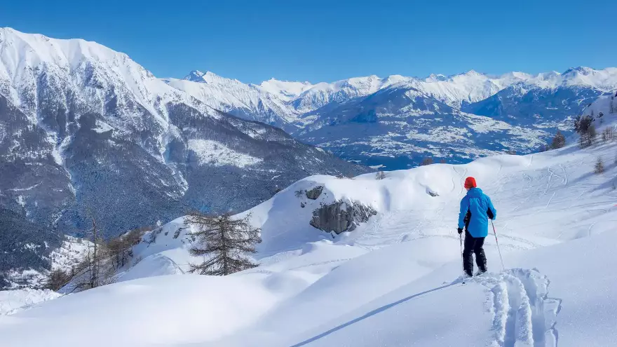 Découverte en raquettes à neige