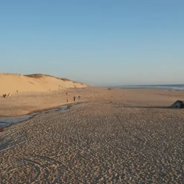 Grande plage des Landes