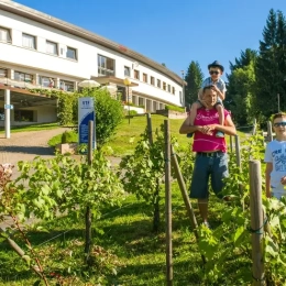 VTF Soultzeren vacances en famille en Alsace