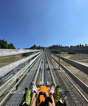 Experience