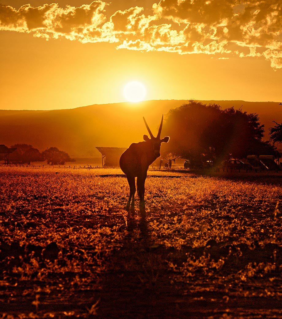 Voyage astronomique en Namibie